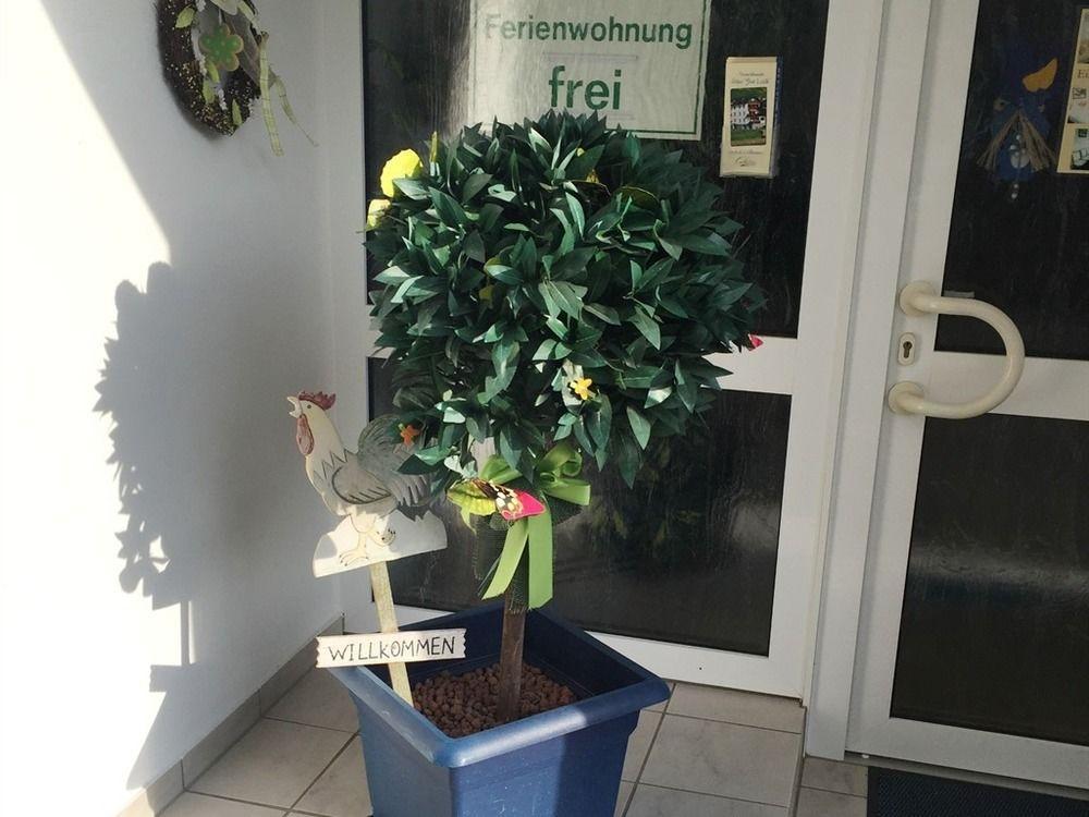 Ferienwohnungen Haus Zur Linde Cochem Esterno foto